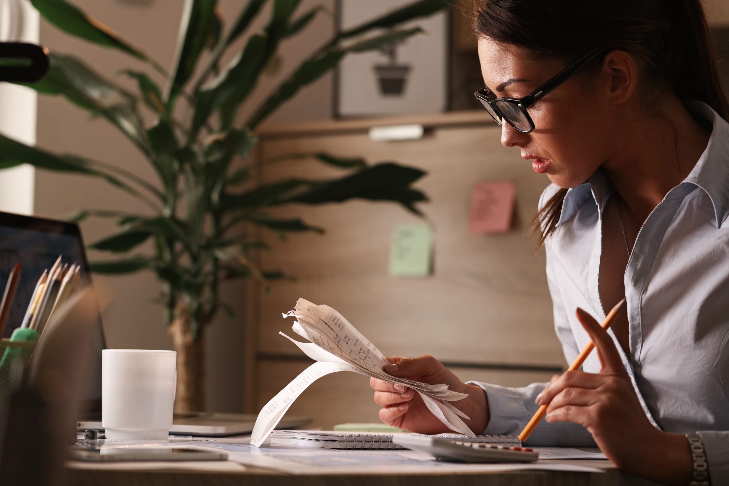 Tax Filing, Compliance & Investigation Support