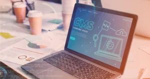 Why a CMS Matters for Your Website or Blog?